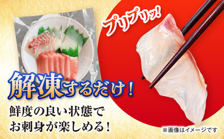 【全6回定期便】漁師の極み刺身パック（粋）1皿 五島市/Sun Sea Go Company 魚 おまかせ お任せ 鮮魚 五島列島[PGL019]