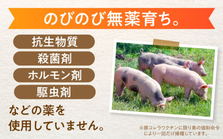 あんしん豚 バラ凍結 ミンチ＆小間セット 豚肉 小分け 国産 白川町 / 藤井ファーム[AWAF006]