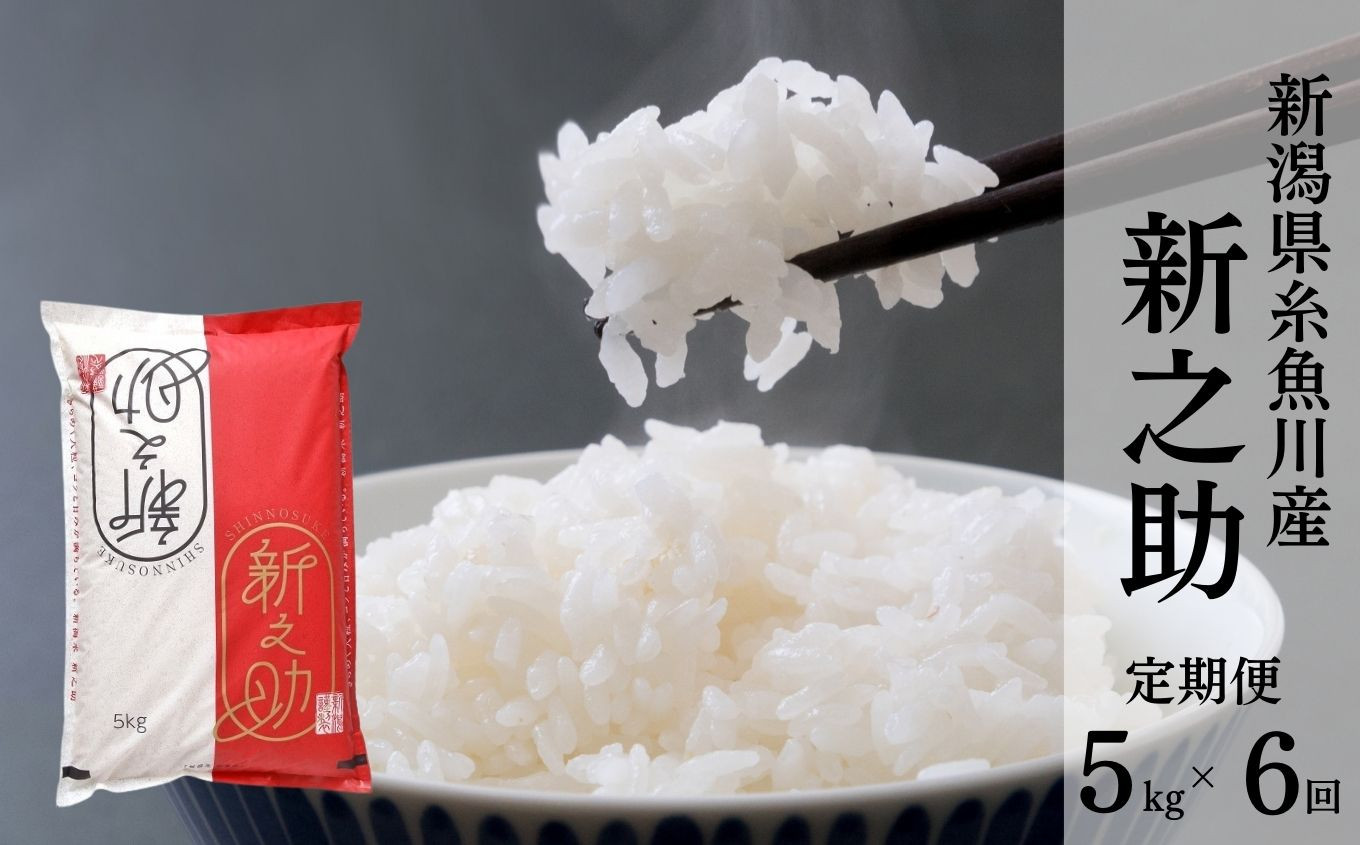 
            令和7年産新米【定期便】新潟県産 新之助 5kg×6回 毎月お届け 全30kg 糸魚川産 白米 2025年産 木島米穀店【米 お米 ご飯 ライス ふるさと納税米 ブランド米 しんのすけ 食品 おすすめ 人気 新潟県 糸魚川市 6か月 6ヵ月 6ヶ月 先行予約】
          