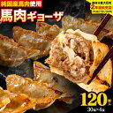 【ふるさと納税】馬肉 餃子 ギョーザ 120個 30個 × 4袋《30日以内に出荷予定(土日祝除く)》熊本県 荒尾市 純国産馬肉 簡易包装 熊本肥育 ぎょうざ 馬