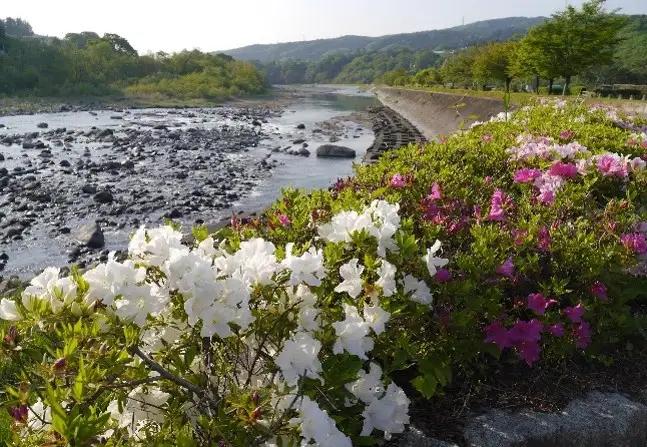 日帰り入浴とお食事付きペアご招待券（オリジナル入浴剤付） チケット お食事券 温泉利用券 