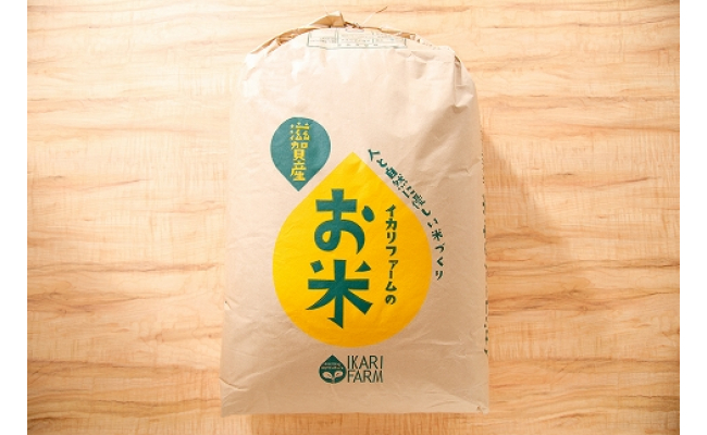 【6年産】冷めても美味しいあっさりとした味わい「みずかがみ」白米【30㎏×1袋】【C016U】