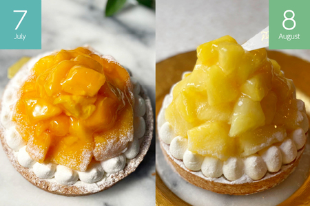 ケーキ タルト 1ホール 12cm 12種 食べ比べ 各回1ホール 3回 定期便 総計3ホール [心優-Cotoyu sweets- 長崎県 平戸市 hr42bjo490222]