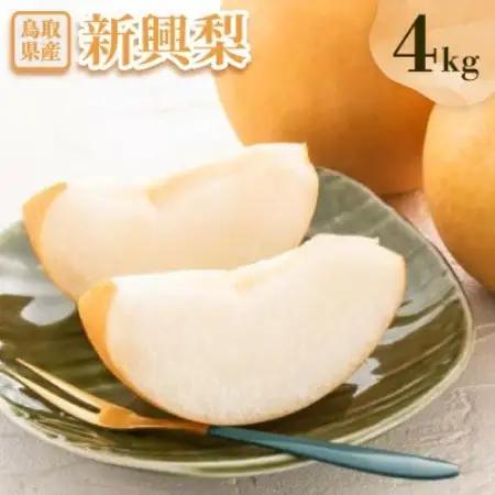 新興梨 4kg【配送不可地域：離島・北海道・沖縄県】【1733702】