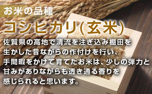 品種：コシヒカリ(玄米)
手間暇をかけて育てたお米は、
少しの弾力と甘みがありながらも透き通る香りを感じられると思います。