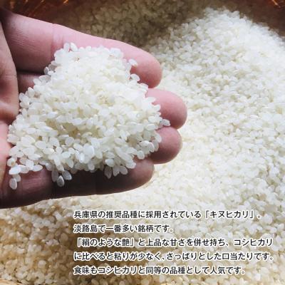 ふるさと納税 淡路市 淡路島産キヌヒカリ 5kg (精米)　as30008 |  | 01