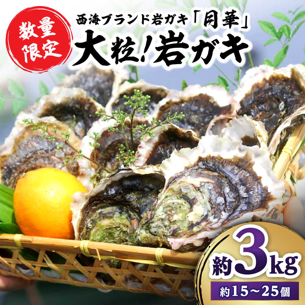 【ふるさと納税】【☆数量限定☆】【着日指定可】濃厚！ 岩ガキ 約3kg（約15個～25個）便利なナイフ・軍手付き♪＜ハマフジ水産＞ [CES009] カキ 牡蠣 岩牡蠣 かき 生牡蠣 冷蔵 海鮮 贈答 かき 焼牡蠣 蒸し牡蠣 パスタ 今が旬