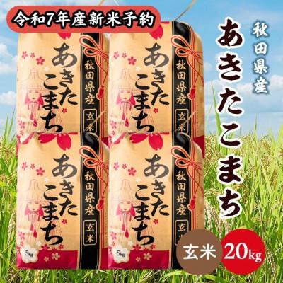 ふるさと納税 潟上市 【新米予約】令和7年産 秋田県産あきたこまち 20kg(5kg×4袋)(玄米)　9月下旬順次発送