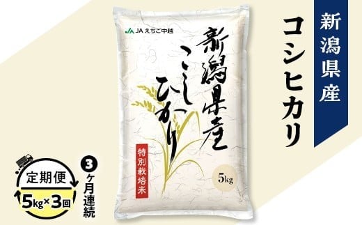 75-7N053A【3ヶ月連続お届け】新潟県長岡産コシヒカリ5kg（特別栽培米）【2026年2月下旬発送開始】