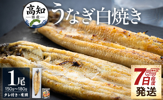 高知県産うなぎの白焼き 150～180ｇ×1尾 - エコ包装 国産 うなぎ 白焼き 鰻 冷凍 高知 yw-0113