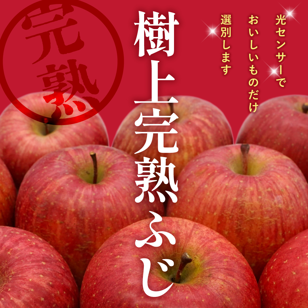 【2026年産】 樹上完熟ふじりんご 赤秀 5kg箱（16、18、20個詰め） 山形県 東根市 JA提供 hi001-051