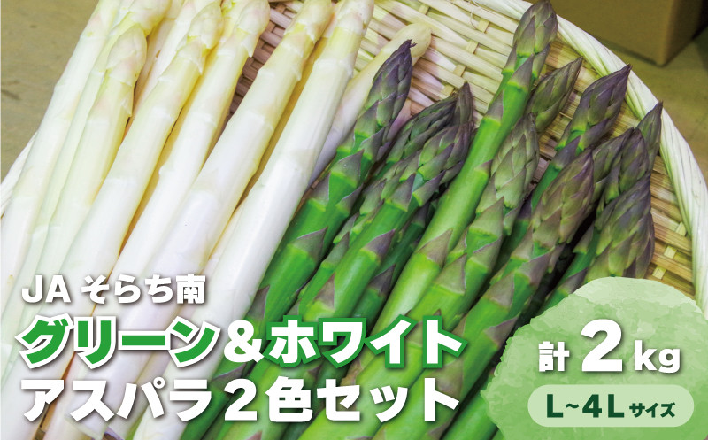 
                  春一番！JAそらち南の味覚「アスパラ2色セット」北海道産グリーン・ホワイト計2kg前後　D006
                
