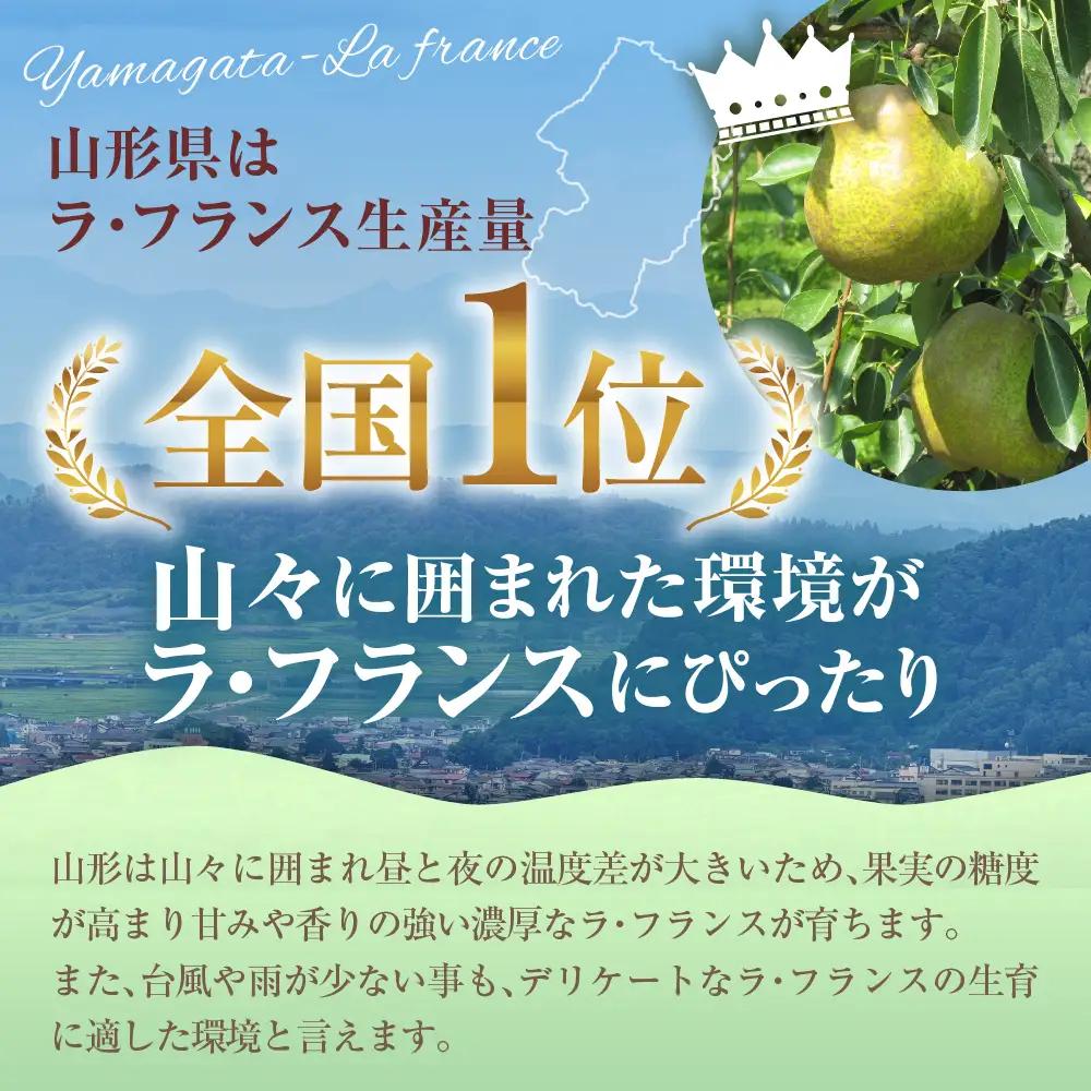 【2026年産】 ラ・フランス 家庭用 訳あり 5kg ラ・フランス