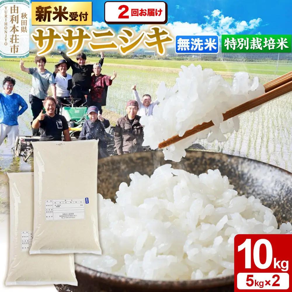《令和8年産 新米受付》《定期便2ヶ月》【無洗米】特別栽培米 ササニシキ 10kg（5kg×2袋）秋田県産