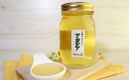 【定期便 6回】純国産 アカシアはちみつ 260g｜非加熱 純粋 天然 蜂蜜 単花蜜 アカシヤ ハチミツ ギフト｜千葉県 君津市