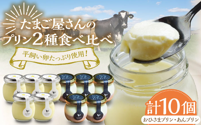 たまご屋さんのプリン2種食べ比べセット 計10個（おひさまプリン5個、あんプリン5個） / デザート / 佐賀県 / 本間農園 [41AJAA017]