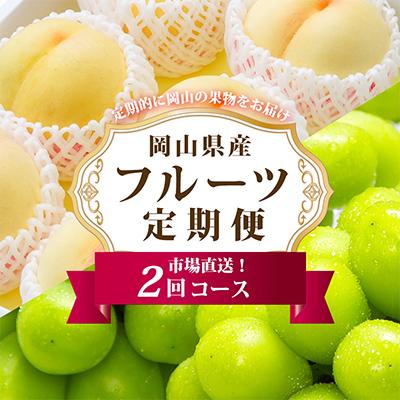 ふるさと納税 里庄町 【発送月固定定期便】岡山県産 フルーツ定期便全2回