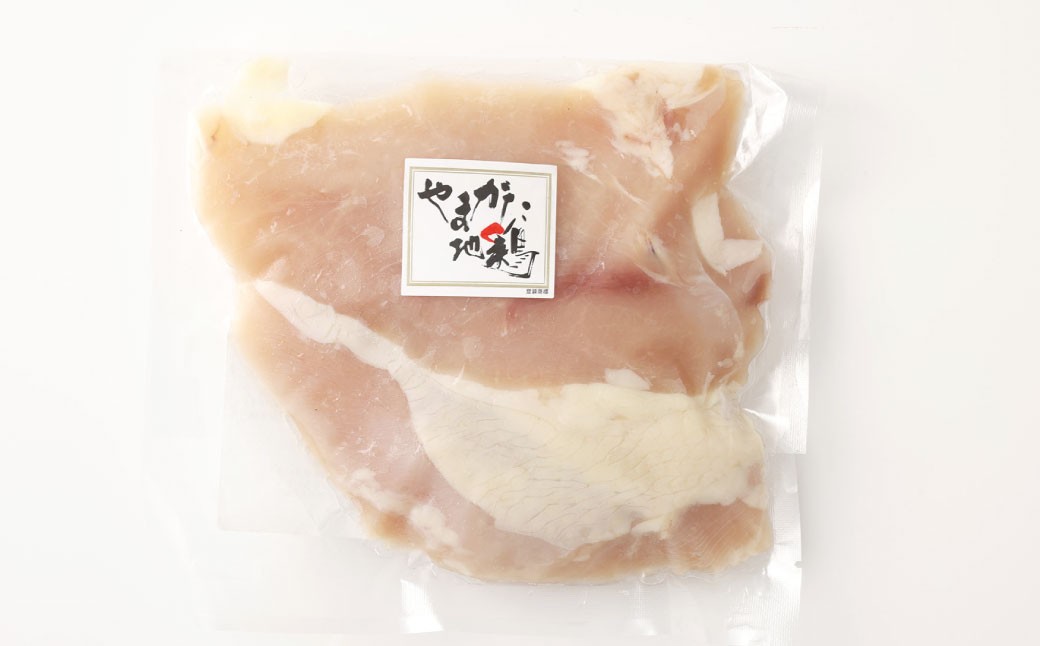 【4ヶ月定期便】やまがた地鶏 もも 約600g