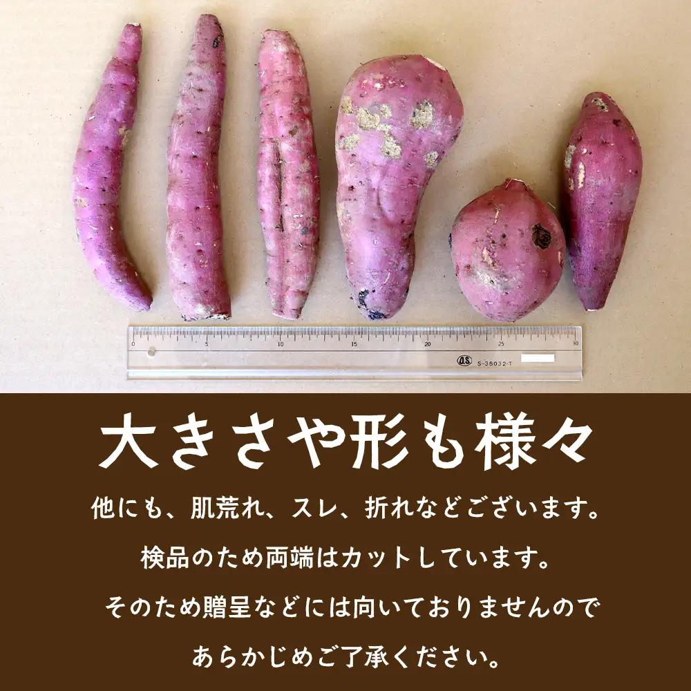 【訳あり！】【先行予約：9月中旬配送～】掘りたて さつまいも 紅はるか 5kg (自宅で簡単レシピ付き）FR-207 | 秋の味覚 2026年秋収穫 サイズランダム 家庭用 新物 さつまいも サツマイ