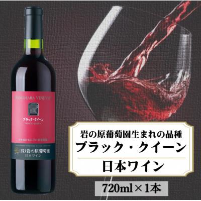 ふるさと納税 上越市 岩の原ワイン　ブラック・クイーン(赤ワイン　720ml)