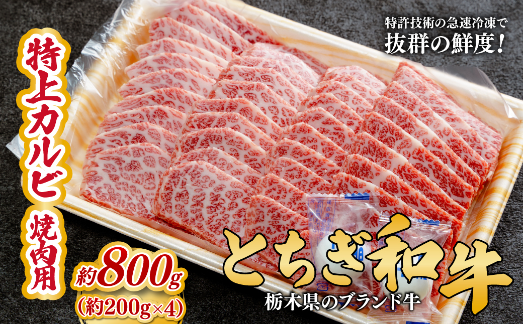 とちぎ和牛の特上カルビ 焼肉用 800g（200g×4）【栃木県共通返礼品】 |  牛肉 肉 お肉 カルビ 特上 バラ肉 焼肉 産地直送 国産 国産牛 和牛 赤身 霜降り 希少 旨味 旨み 熟成 急速冷凍 テクニカン テクニカン社 スキンパック 真空パック 真空包装 コトラミートカルチャ 栃木県 茂木町