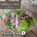 【ふるさと納税】【木造駅舎にあるお花屋さん】アレンジメント S【ミドリブ】/花 生花 インテリア 雑貨 ギフト 贈答 母の日 にも [BBR006]