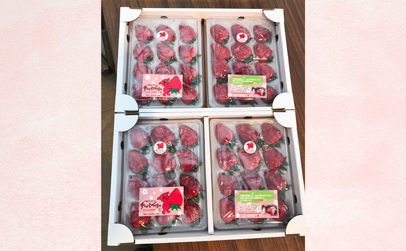 新鮮採れたて　いちご　４パックセット