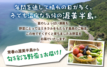 【定期便 】旬彩野菜セット定期便 年4回 旬の野菜 7品目以上