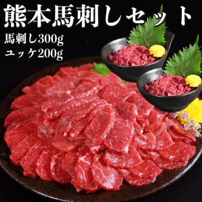 ふるさと納税 宇土市 熊本馬刺し 赤身300g・ユッケ200g 合計500gセット　国内肥育