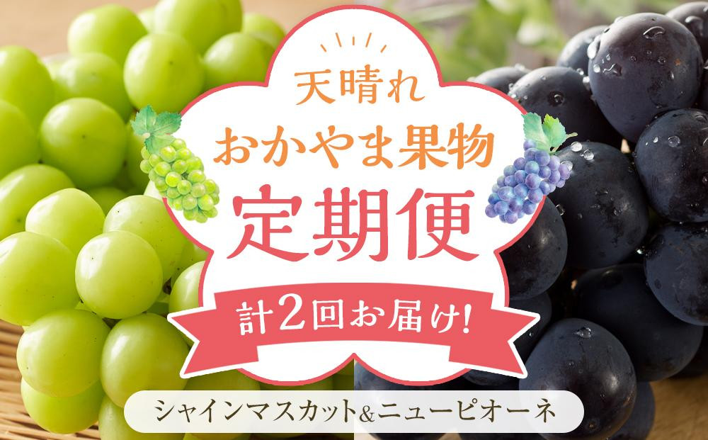 
            フルーツ 定期便 2025年 先行予約 天晴れ おかやま 果物 定期便 (5)  ニュー ピオーネ 1回／ シャイン マスカット 1回 合計2回お届け！ 岡山県産 国産 セット ギフト
          