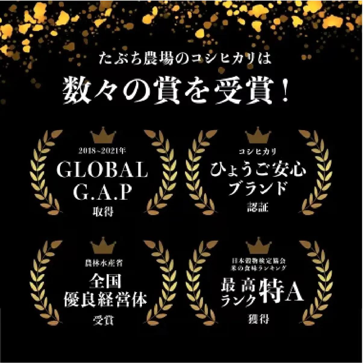 玄米 定期便 新米 丹波篠山産 特別栽培米コシヒカリ 30kg×12回 定期便 玄米