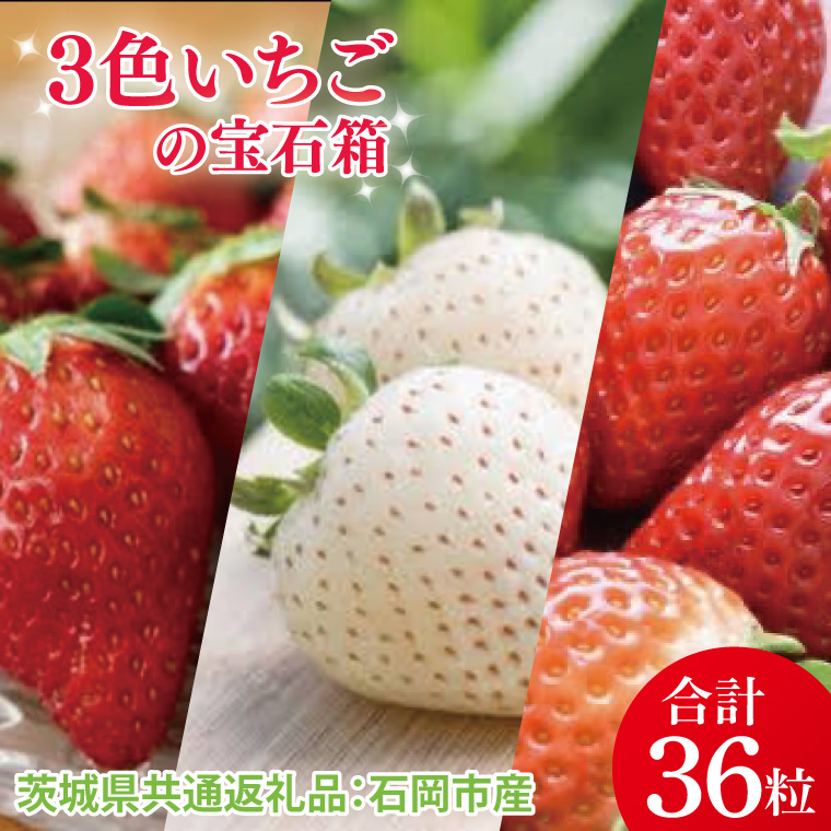 【先行予約】3色いちごの宝石箱36粒（茨城県共通返礼品：石岡市産）※2025年12月より発送開始（CD110）