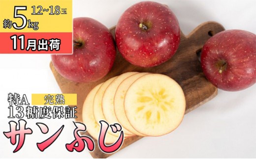 
                  11月 特A完熟サンふじ約5kg（12～18玉）13度【青森りんご・ゆうきアップル・11月・12月】 
                