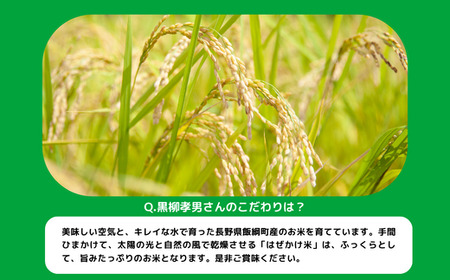 米 こしひかり 5kg × 12回 【 12カ月定期便 】 ( 令和8年産 ) 黒柳さんのお米 はぜかけ 沖縄県への配送不可 2026年11月上旬頃から順次発送予定 コシヒカリ 白米 精米 お米 信州