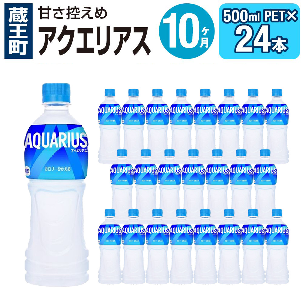 【10か月連続お届け】アクエリアス　500ml PET×24本　【04301-0042】