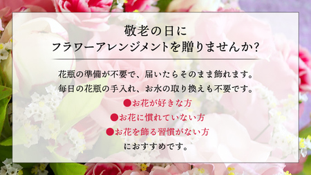 【 敬老の日 】 フラワー アレンジメント L 赤 ・ ピンク 系 ギフト プレゼント 花 お祝い 贈答 記念日 インテリア [CT085ci02]