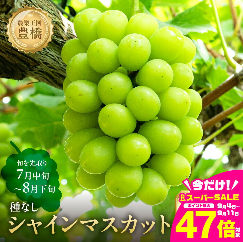 【ふるさと納税】≪先行予約 2026年発送≫たっぷり1.2kg 豊橋産 皮ごと 種なし シャインマスカット300g×4 ブドウ ぶどう マスカット フルーツ 甘い 1.2キロ 果物 豊橋市 愛知県 ギフト プレゼント お祝い セット 組み合わせ 詰め合わせ 旬 食べ比べ 高級 希少 贈答 贈り物
