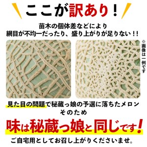 【冬限定・数量限定】牧さんの訳ありメロン 白玉(青肉)計2玉 メロン マスクメロン 果物 くだもの デザート 青肉 訳あり b0-106-w