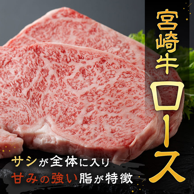 宮崎牛ステーキ 2種 600g　牛肉[E11118]