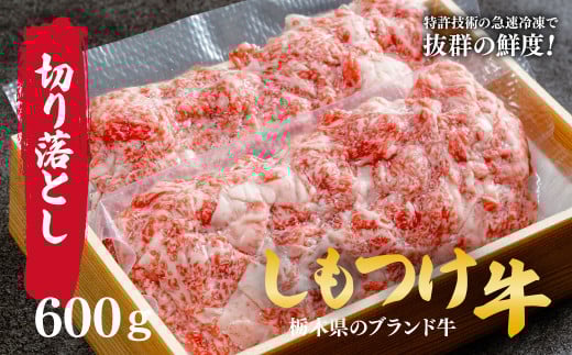 しもつけ牛の切り落とし600g | 牛肉 肉 お肉 産地直送 国産 国産牛 牛丼 交雑 赤身 霜降り 希少 旨味 旨み 熟成 急速冷凍 テクニカン テクニカン社 スキンパック 真空パック 真空包装 コトラミートカルチャ 栃木県 茂木町