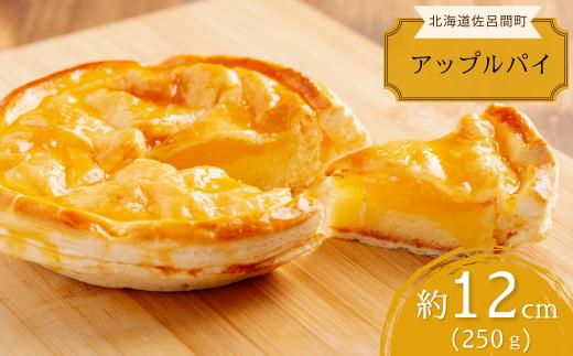 オホーツクで焼き上げる絶品の手作り アップルパイ 12cm 【 ふるさと納税 人気 おすすめ ランキング 菓子 焼菓子 アップルパイ パイ 杏 あんず りんご 甘い 美味しい 北海道 佐呂間町 送料無料 】 SRMJ006
