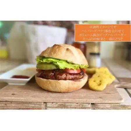和牛入り生ハンバーグ　10個セット【配送不可地域：離島】【1281816】