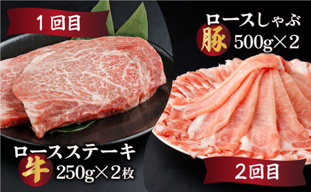 KU305【定期便・全6回】宮崎牛と宮崎産豚肉 6ヶ月定期便！計3.7kg