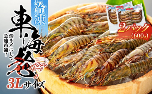 活き〆冷凍 車海老 3Lサイズ 計600g  鹿児島県産 (養殖)【車海老 海老 エビ エビフライ エビチリ 魚介類 冷凍 人気 おすすめ お取り寄せ 鹿児島県 屋久島町  J004】