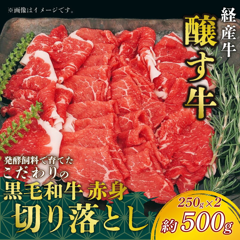 【ふるさと納税】 先行予約1月〜 黒毛和牛 赤身切り落とし 約500g (250g×2) 冷凍 経産牛 切り落とし 小分け パック 赤身 肉 牛肉 国産 切落し 赤身肉 国産牛肉 国産牛 お肉 赤み 切り落し 切り落とし 人気 おすすめ 愛知県 南知多町