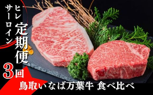 
【定期便３回】鳥取いなば万葉牛食べ比べ 定期便 国産 牛肉 ヒレ サーロイン 和牛 黒毛和牛 希少
