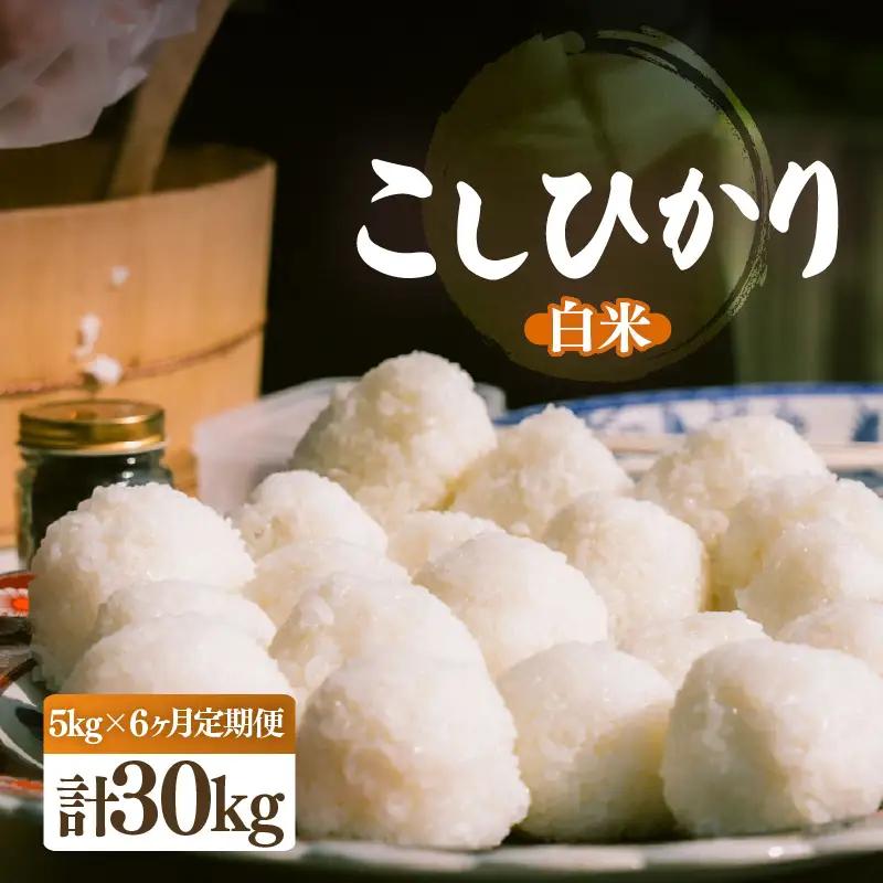 【先行予約】【令和8年産・新米】定期便 ≪6ヶ月連続お届け≫ こしひかり 5kg × 6回（計30kg）【2026年10月中旬以降順次発送】 [e26-h002_01]