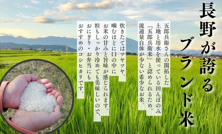 【令和7年産・白米10kg】「五郎兵衛さんのお米」 コシヒカリ | 長野県 信州こしひかり コシヒカリ