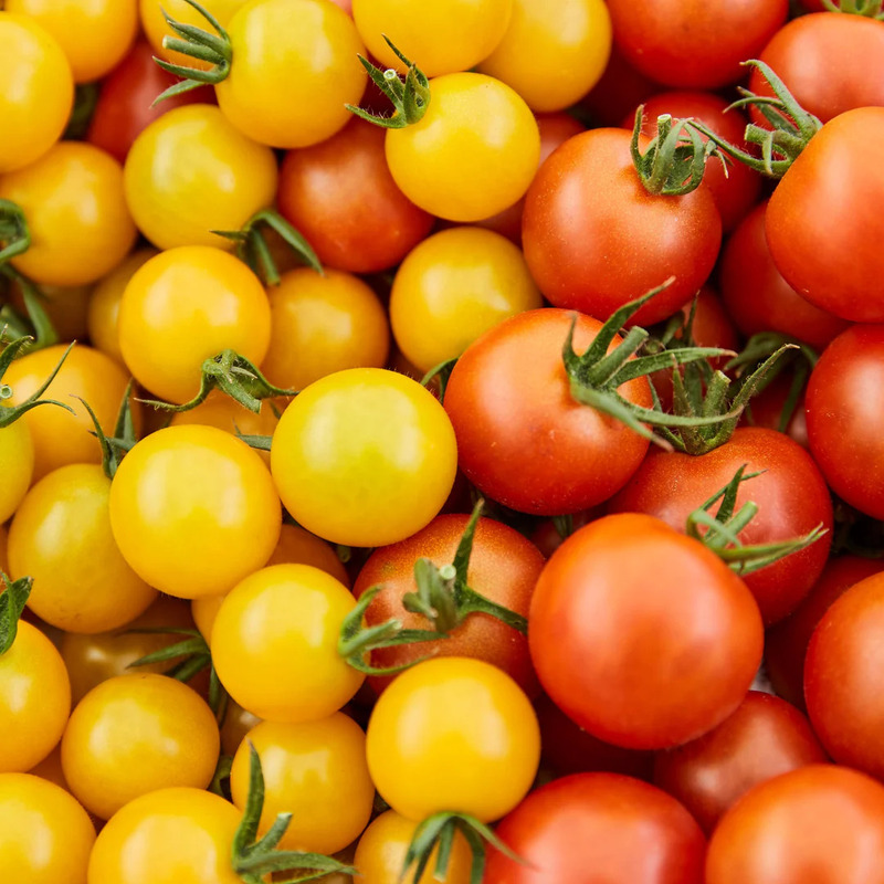 【定期便・全5回】大玉トマトのトマトジュース 180ml 30本セット × 5回｜国産 姫路産 八百ちゃんトマト 100%ストレート