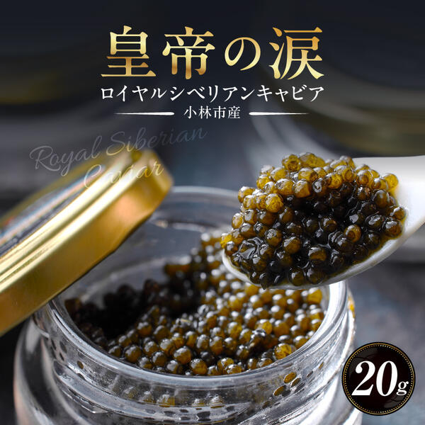 【ふるさと納税】ロイヤルシベリアンキャビア 20g 皇帝の涙 国産 チョウザメ 魚卵 宮崎県
